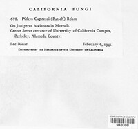 Image Associated With the Occurence